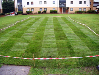 muddy boots landscaping new lawns and gardens
